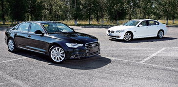 南山婚庆租车全攻略 如何选择南山汽车租赁公司让婚礼更完美